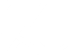 zevoronline.com